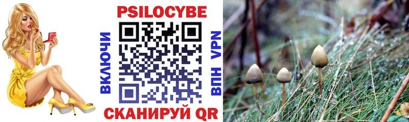 Купить  Великие Луки  Галлюциногенные грибы мицелий 